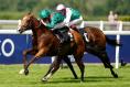 Calandagan rules supreme for France in King George as Jan Brueghel fails to fire