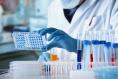 Shares in Hvivo nosedive as it loses key contract and postpones another