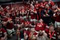 Gordon D’Arcy: Far from a letdown, Lions’ defeat in third Test added texture to a compelling story