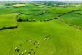 The phenomenon of the Dublin 4 farmer. And why they’re buying up land for tax reasons