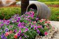 Six easy tips for making your garden planters last all summer in Ireland