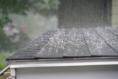 I have noticed blistering on my interior walls. What should I do?
