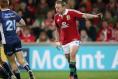 Tom Court - Ireland’s accidental Lion