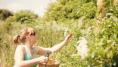 Edible bushes to grow for elderflower cordial, sloe gin, jams and syrups