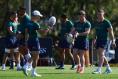 How can the depleted Wallabies survive a Lions onslaught?