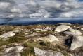 The Irish Times view on funding for nature: not an optional extra 