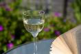 I want to learn more about wine. What are the best books to buy?