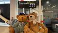 Bear miles: Two Irish teddies set for Dublin stop as they fly around the world for charity 