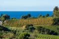 What does the word ‘Côtes’ mean on French wine labels and is it important?