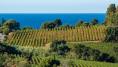 What does the word ‘Côtes’ mean on French wine labels and is it important?