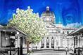 Magic coins fill the coffers of paranormal Ireland