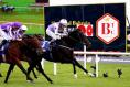 Green Impact drops to Group Two level at York but faces formidable rival in Almaqam