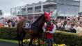 Odds and Ends - Frank McNally on the vagaries of Galway Race Week