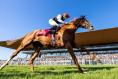 Aidan O’Brien’s outstanding stayer Kyprios retired after aggravating old injury