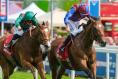 Jan Brueghel and Calandagan promise another memorable King George head-to-head 