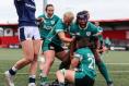 Ireland are back at the World Cup. How will they fare? 