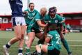 Ireland are back at the World Cup. How will they fare? 