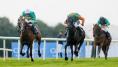 Easing ground conditions can help course winner Nans View in Galway festival feature