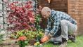 Gardening feels like outdoor housework to me but my wife is caught in its grip