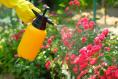 Garden chemicals can seem like a magic wand. But this is the lesson I’ve learned 