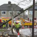 Storm Éowyn was most expensive weather event in history for Irish insurers, costing €301m