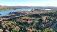 More than 1,100 acres of forestry in Clare and Galway for in excess of €5m