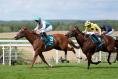 Pacemaker Qirat stuns Sussex Stakes big guns at Goodwood to win at 150-1