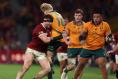 Tom Curry walked tightrope in first Lions Test, but maybe he knew tackle would go unpunished