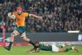 Australia fight back to stun South Africa with bonus-point win at Ellis Park