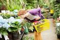 Why restraining yourself at the garden centre will lead to a more beautiful garden 
