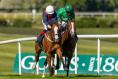 Joseph O’Brien aiming for Group Two glory in France on Sunday with Green Sense