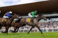 Smallest big-race field in a decade lines out for Galway festival feature 