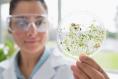 The Irish Times view on Ireland’s research agenda: the vital role of innovation