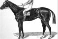 McGrath hurrah - Frank McNally on the first Kentucky Derby, 150 years ago