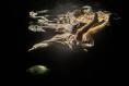 Mikel Murfi’s underwater production is surely one of the most unusual, intriguing and oddly life-enhancing things about