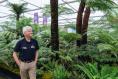 Side hustle to gold: Kerry gardener on winning medal at Chelsea Flower Show