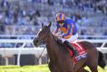 Lake Victoria expected to be sharper for tilt at classic glory at the Curragh 